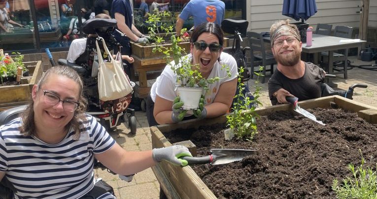 Sara, Ellen, and TJ plant vegetables.